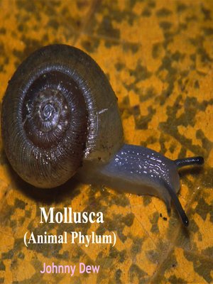 cover image of Mollusca